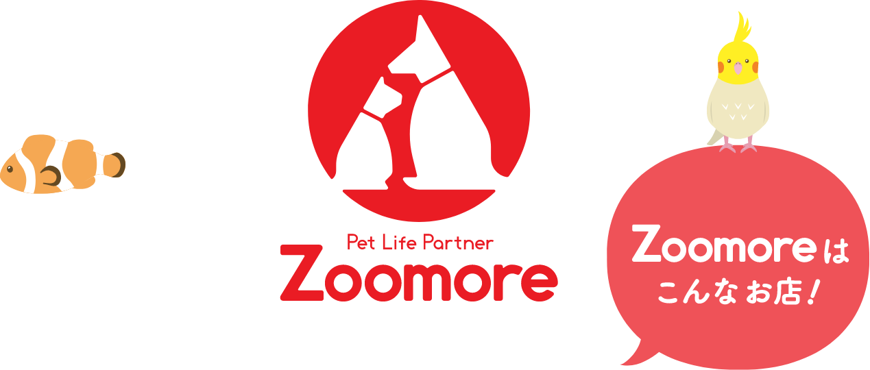 Zoomore ロゴ画像