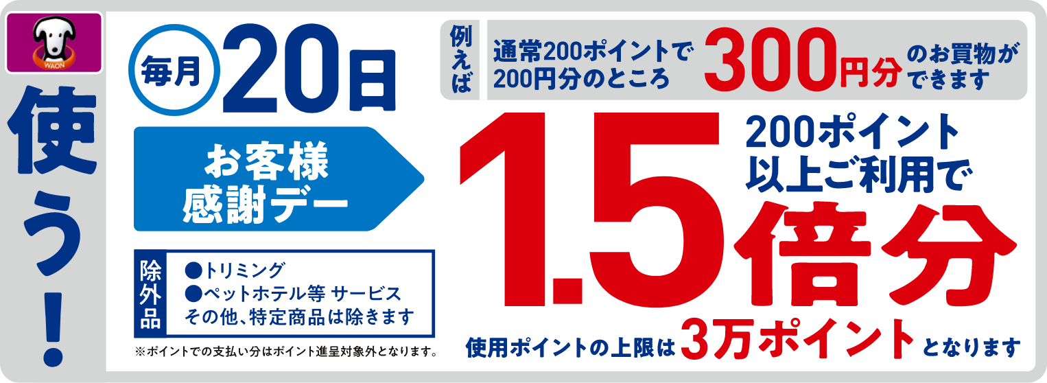 ポイント情報03